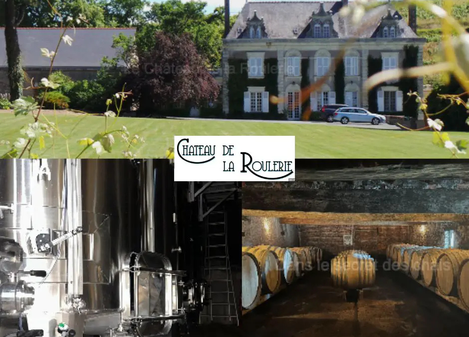 MASTERCLASS ŒNOLOGIQUE & REPAS GASTRONOMIQUE